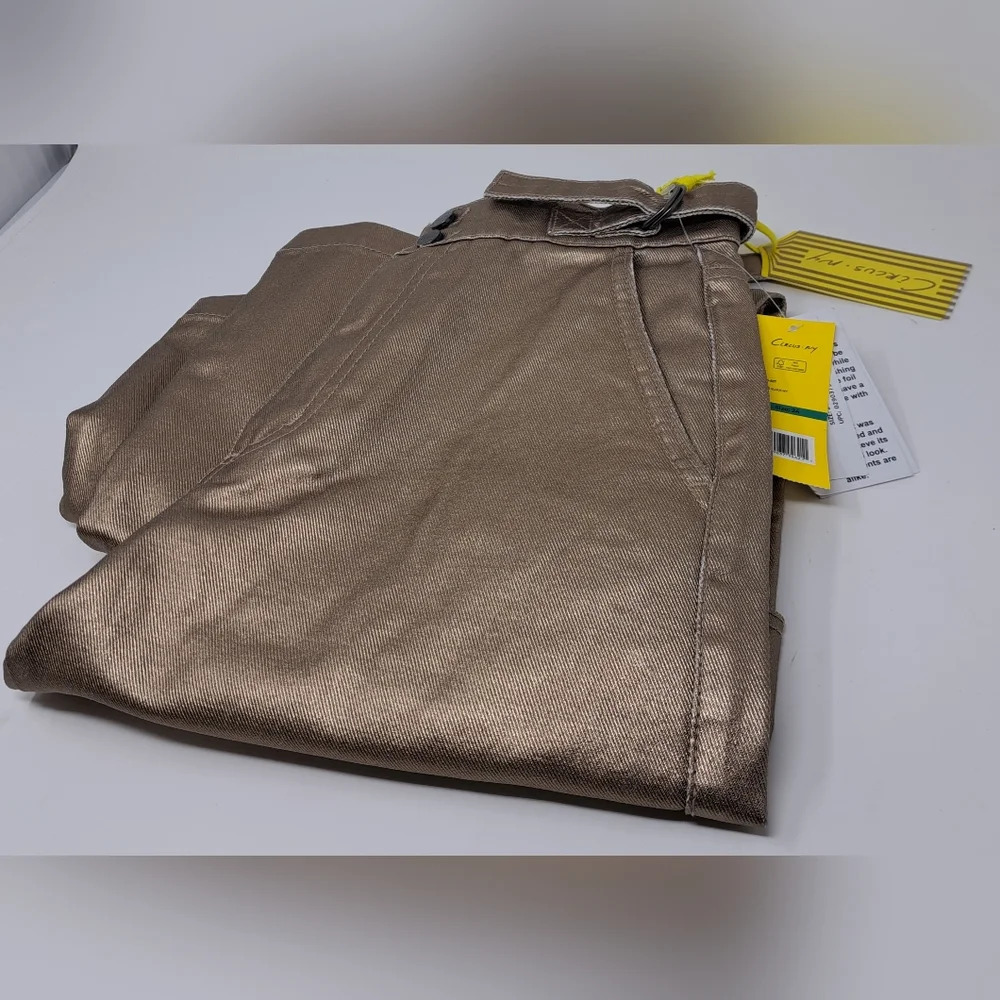 NWT Circus NY Slouchy Cargo Jeans Gold Metallic High waist Wide  Leg sz 24 - Picture 2 of 16
